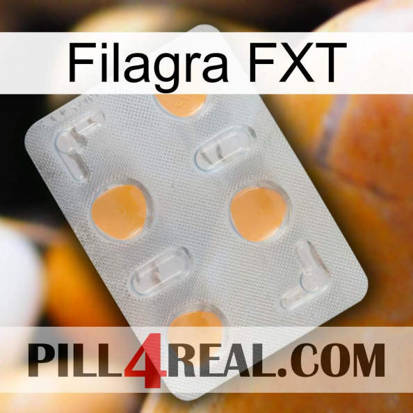 Filagra FXT 24.jpg